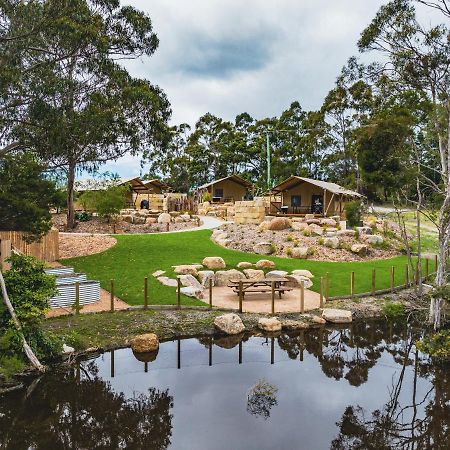 Glamping 148 Tasmania Hotel Сейнт Хелънс Екстериор снимка