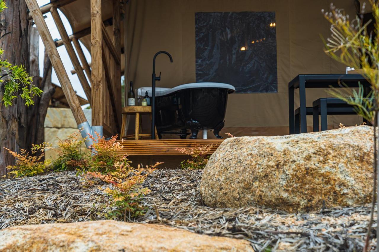 Glamping 148 Tasmania Hotel Сейнт Хелънс Екстериор снимка